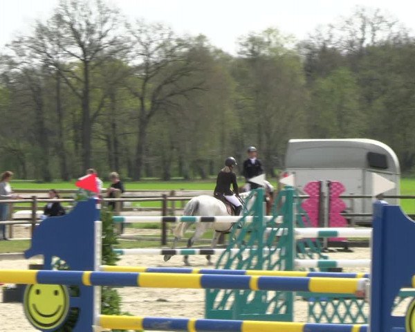 Reitturnier Diepholz 2023