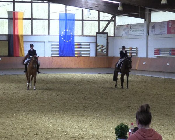 Reitturnier Bottrop 2023
