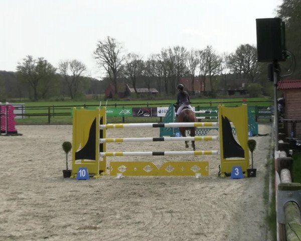 Reitturnier Diepholz 2023