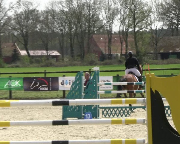 Reitturnier Diepholz 2023
