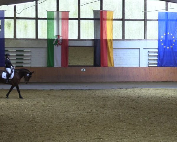 Reitturnier Bottrop 2023