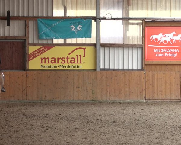 Reitturnier Schlieckau 2023