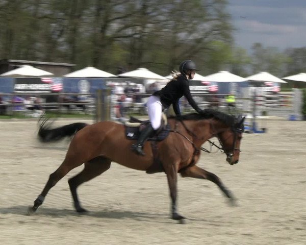 Reitturnier Diepholz 2023