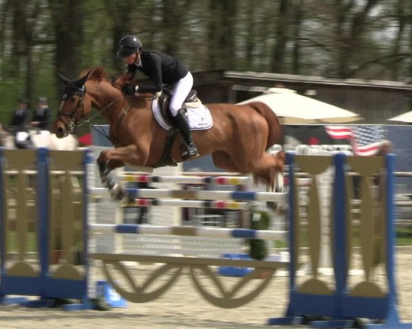 Reitturnier Diepholz 2023
