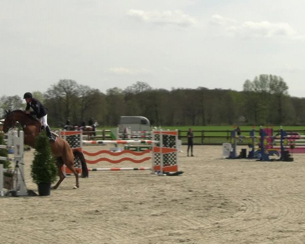 Reitturnier Diepholz 2023