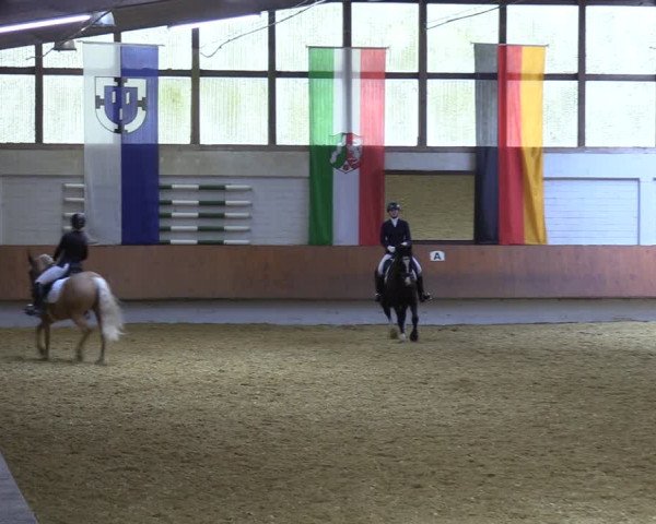 Reitturnier Bottrop 2023