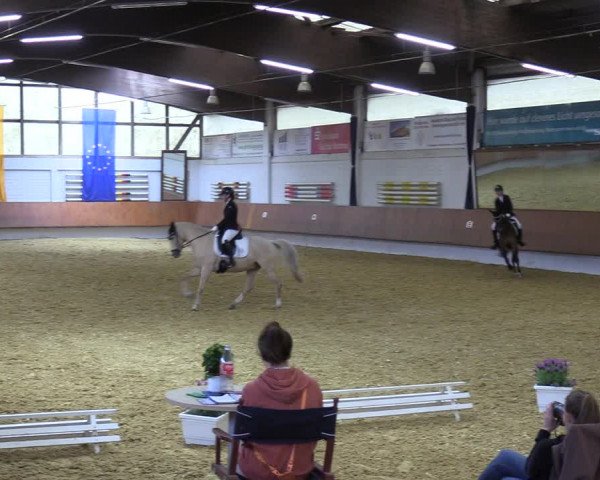 Reitturnier Bottrop 2023