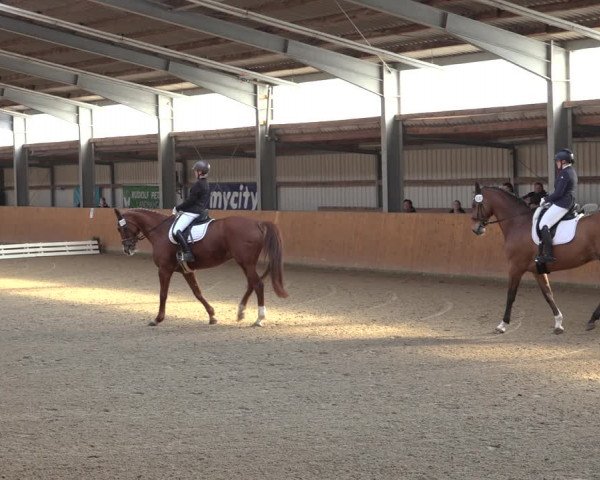 Reitturnier Schlieckau 2023