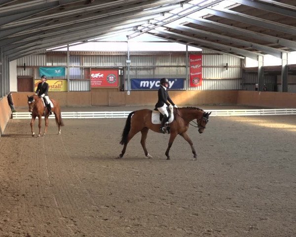 Reitturnier Schlieckau 2023