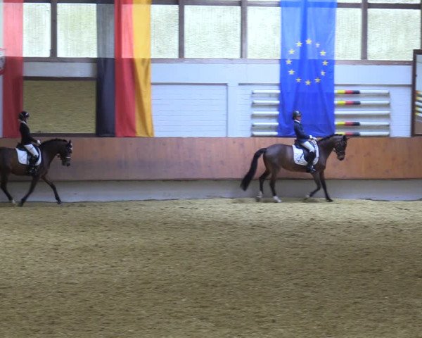 Reitturnier Bottrop 2023