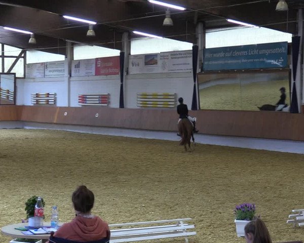 Reitturnier Bottrop 2023