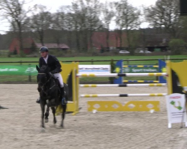 Reitturnier Diepholz 2023