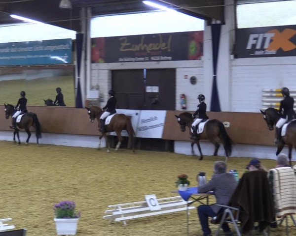 Reitturnier Bottrop 2023