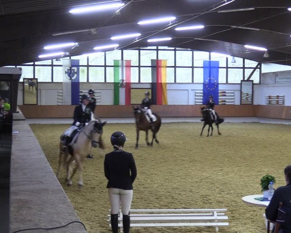 Reitturnier Bottrop 2023