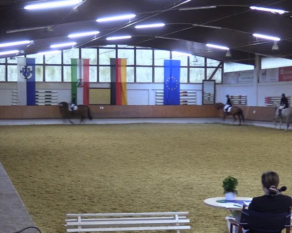 Reitturnier Bottrop 2023