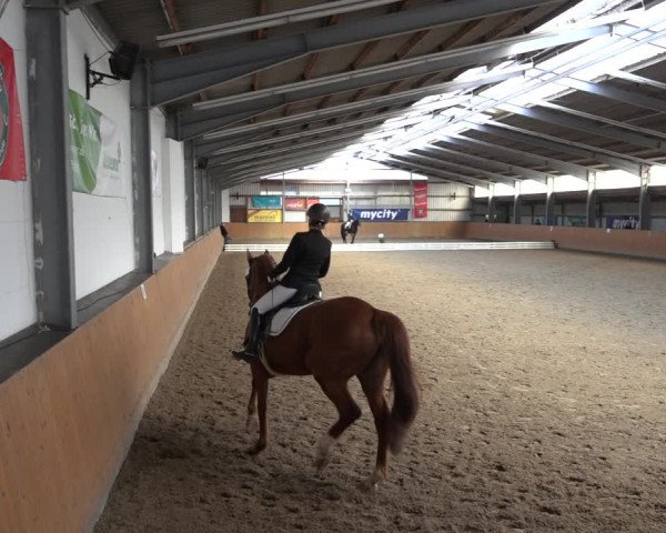 Reitturnier Schlieckau 2023