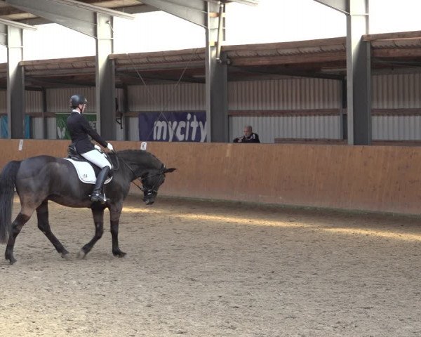 Reitturnier Schlieckau 2023