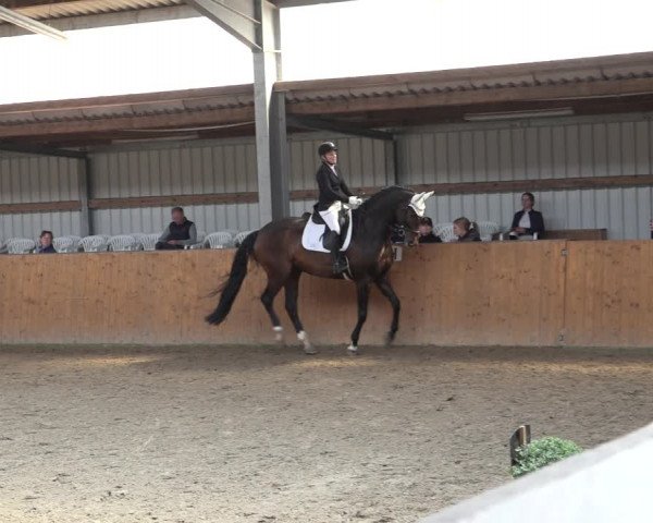 Reitturnier Schlieckau 2023