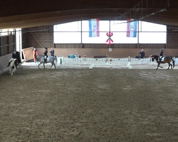 Reitturnier Scharnebeck 2021