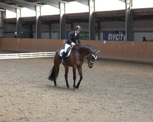Reitturnier Schlieckau 2023