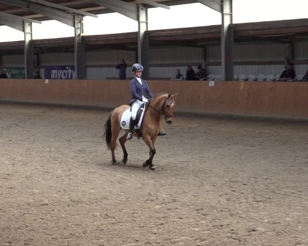 Reitturnier Schlieckau 2023
