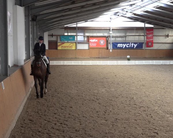 Reitturnier Schlieckau 2023