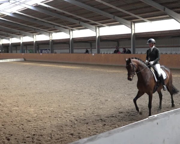 Reitturnier Schlieckau 2023