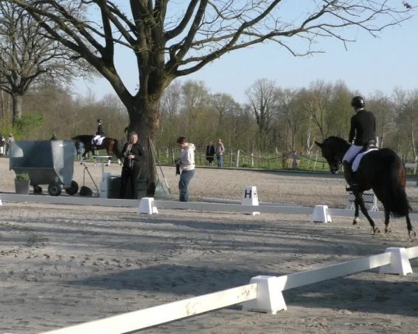 Reitturnier Handorf 2023