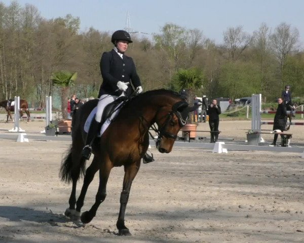 Reitturnier Handorf 2023