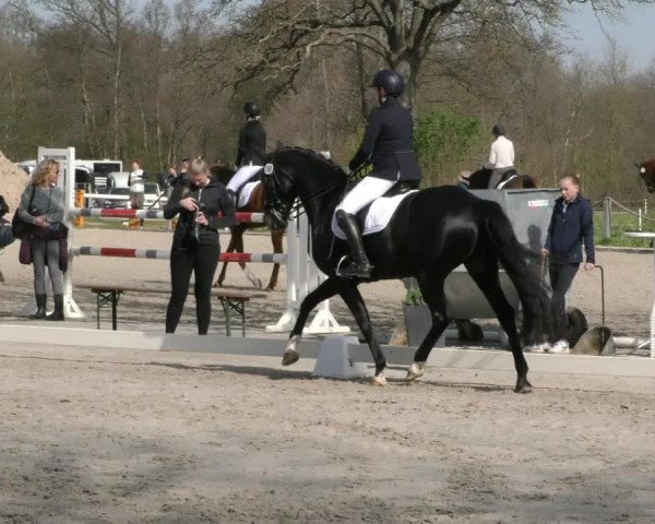 Reitturnier Handorf 2023