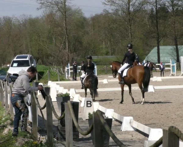 Reitturnier Handorf 2023
