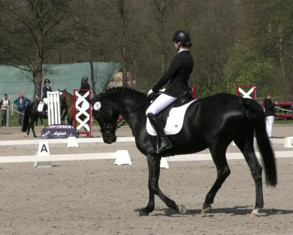 Reitturnier Handorf 2023
