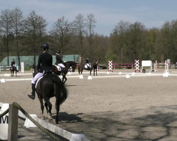 Reitturnier Handorf 2023