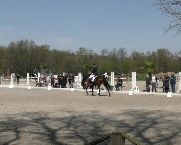 Reitturnier Handorf 2023