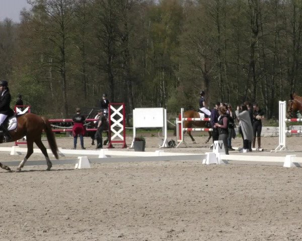 Reitturnier Handorf 2023