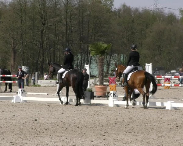 Reitturnier Handorf 2023