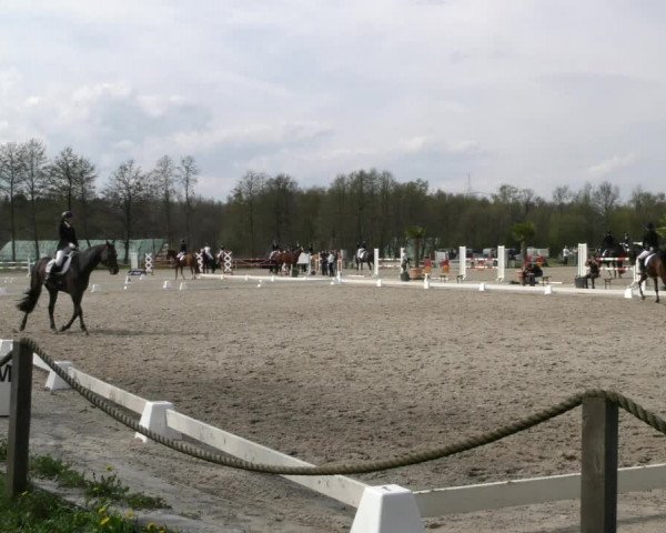 Reitturnier Handorf 2023