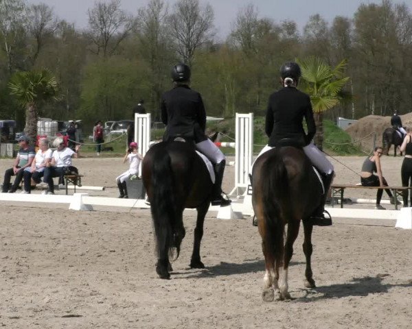 Reitturnier Handorf 2023
