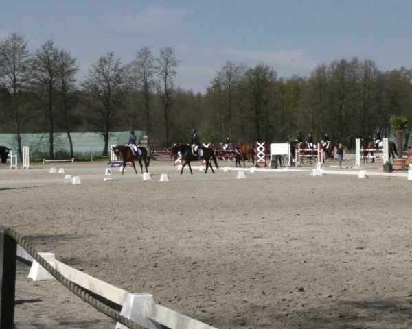 Reitturnier Handorf 2023