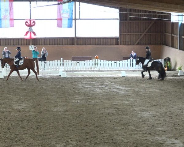 Reitturnier Scharnebeck 2021