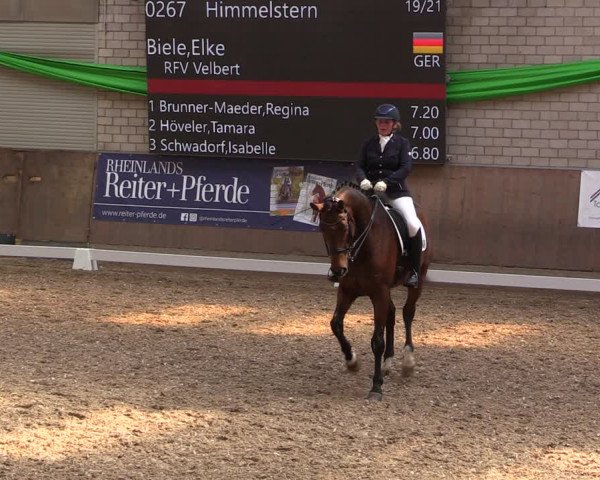 Reitturnier Leverkusen-Rheindorf 2023