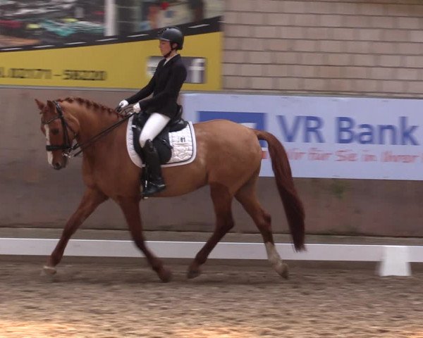 Reitturnier Leverkusen-Rheindorf 2023