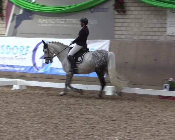 Reitturnier Leverkusen-Rheindorf 2023