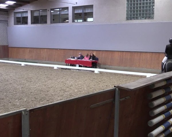 Reitturnier Leverkusen-Rheindorf 2023