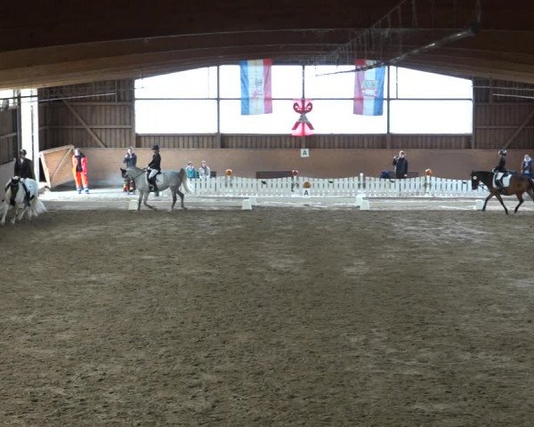 Reitturnier Scharnebeck 2021
