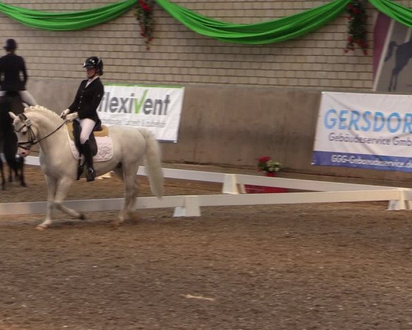 Reitturnier Leverkusen-Rheindorf 2023