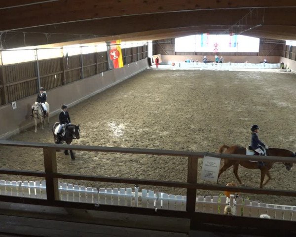 Reitturnier Scharnebeck 2021