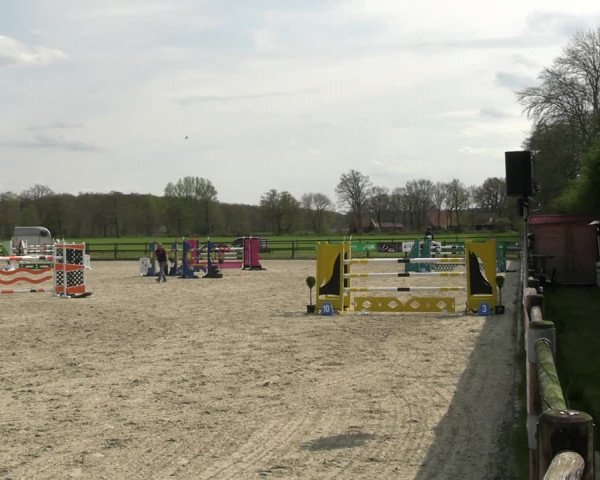 Reitturnier Diepholz 2023