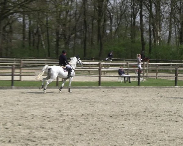 Reitturnier Diepholz 2023