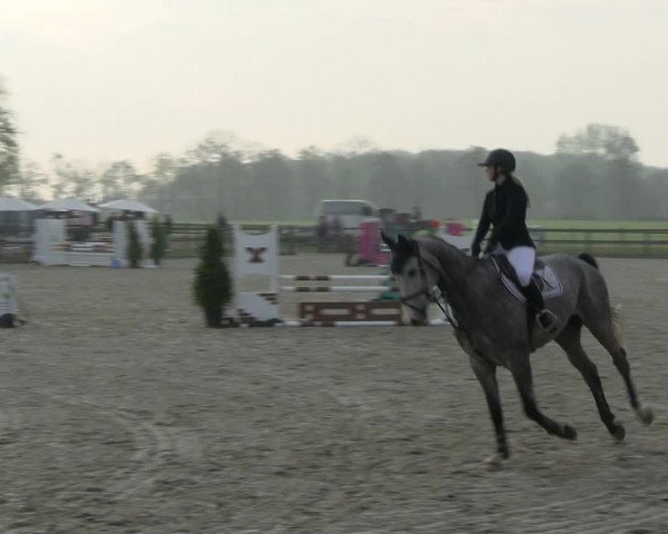Reitturnier Diepholz 2023